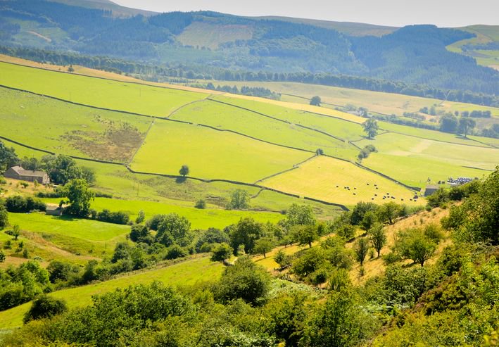 UniSouthWales's tweet photo. Today, @USW_SCL are in Staffordshire. Pop by the stand to talk all things university! #USWonTour #UCAS #Staffordshire #Stop17 https://t.co/Fyn3zTAGs7