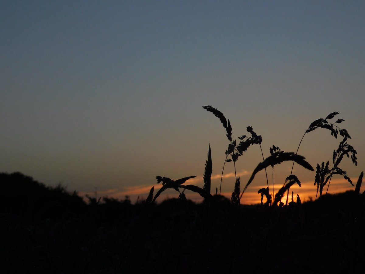 #FridayFeeling #sunrisesilhouette Graveley #Hertfordshire UK @500pxrtg @metoffice #loveUKweather @ajsg #PhotoOfTheDay