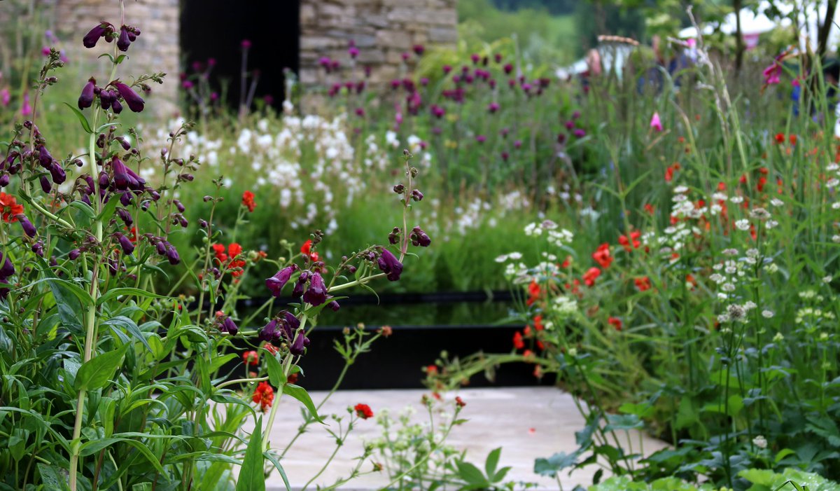 a1isonmoore's tweet photo. Pure gold..... the Wedgwood Garden #RHSChatsworth @The_RHS @ovens_sam @Wedgwood_UK https://t.co/KOJ7IUSWKd