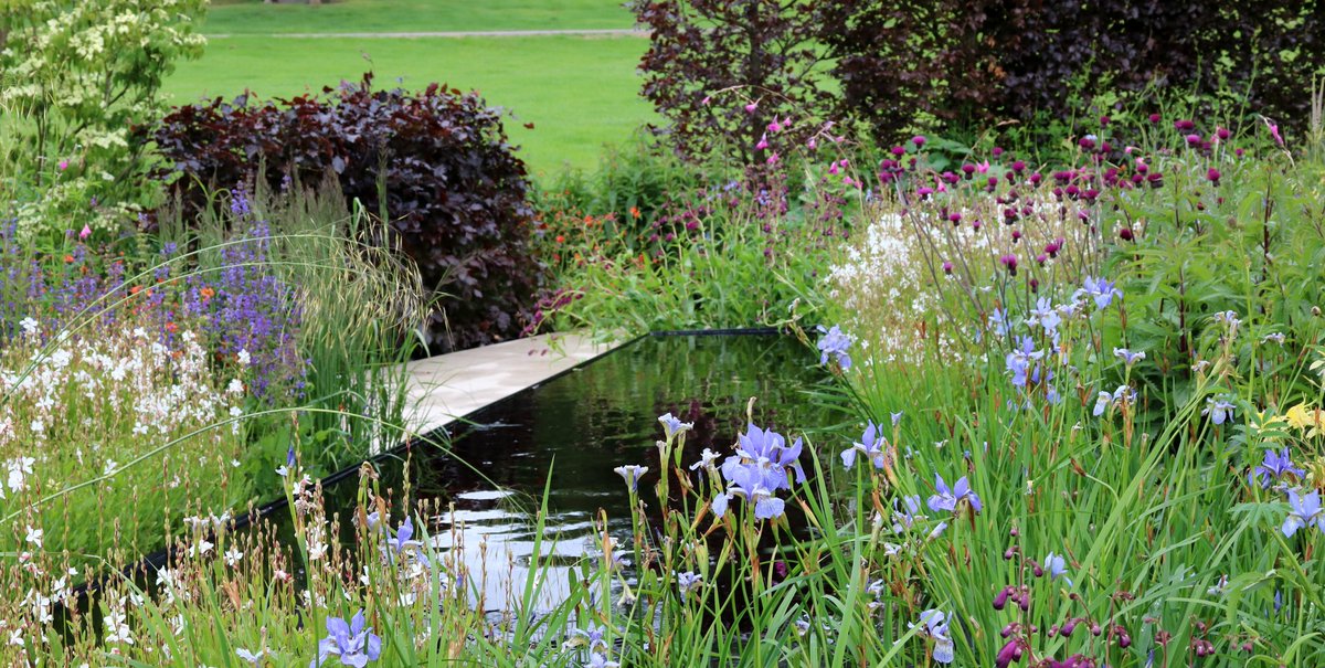 a1isonmoore's tweet photo. Pure gold..... the Wedgwood Garden #RHSChatsworth @The_RHS @ovens_sam @Wedgwood_UK https://t.co/KOJ7IUSWKd