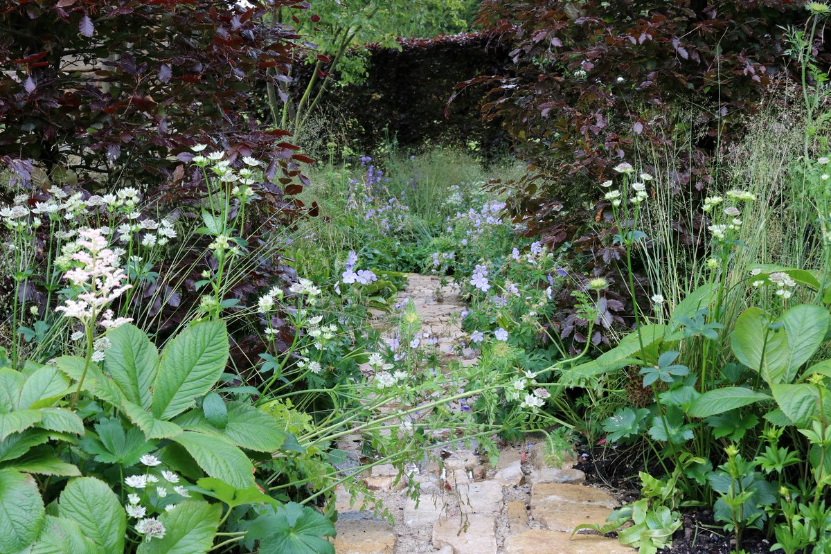 a1isonmoore's tweet photo. Pure gold..... the Wedgwood Garden #RHSChatsworth @The_RHS @ovens_sam @Wedgwood_UK https://t.co/KOJ7IUSWKd