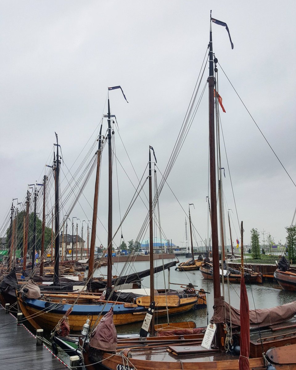 En daar zijn ze weer!!  #aaltjesdagen #Harderwijk #botters #grijzedag #morgenbeter
#festival