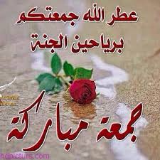AbeerGuo's tweet photo. #جمعةمباركة https://t.co/gJjQBVIVGC