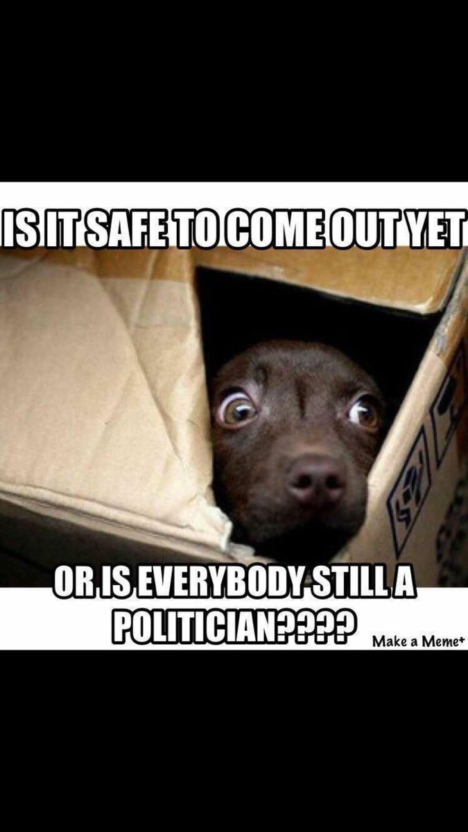 Foleyy91's tweet image. 🤷🏼‍♂️