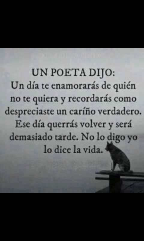 mkscmkssj's tweet photo. Lo dice la vida. https://t.co/tcAa0CjJaa