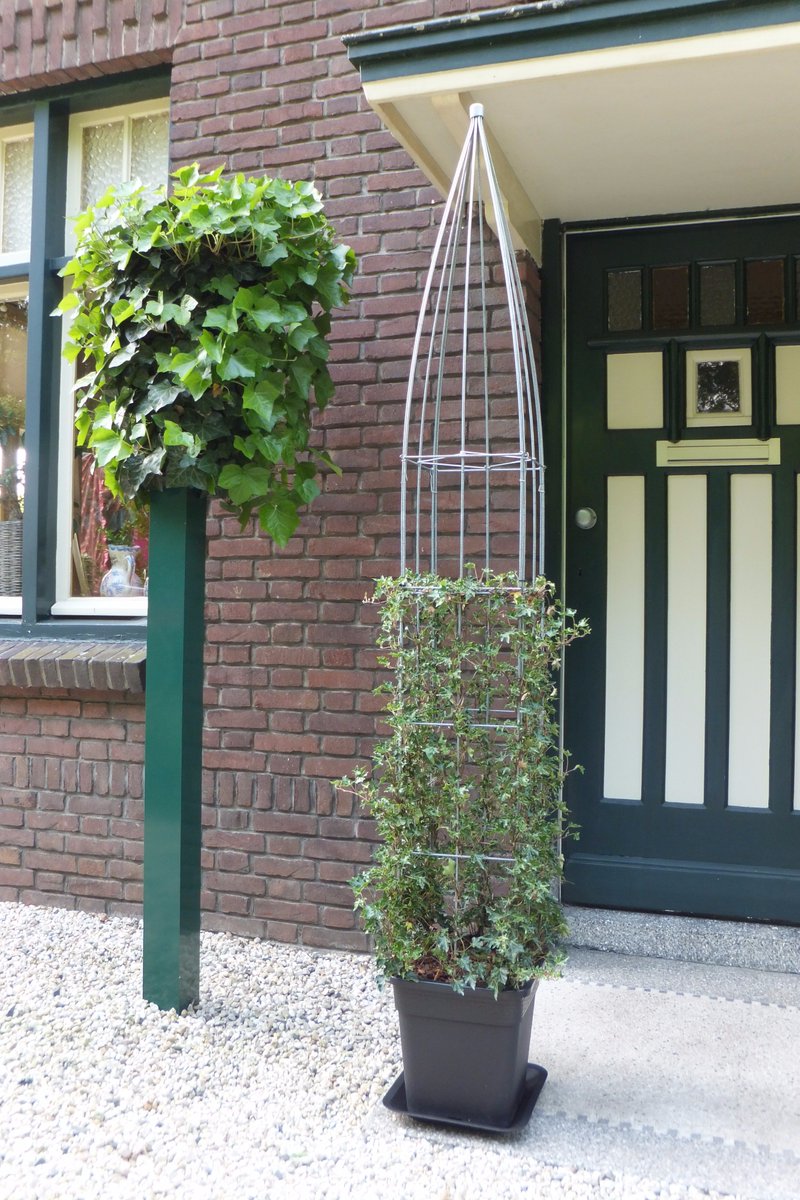 Groen_Amsterdam's tweet photo. https://t.co/ejAqDEek3F KLIMPLANT DRAADZUILEN #groententuin #moestuin stadstuin #balkontuin #tegeltuin #muurtuin #terras #tuinieren #balkon https://t.co/U4Ig7nZj0b