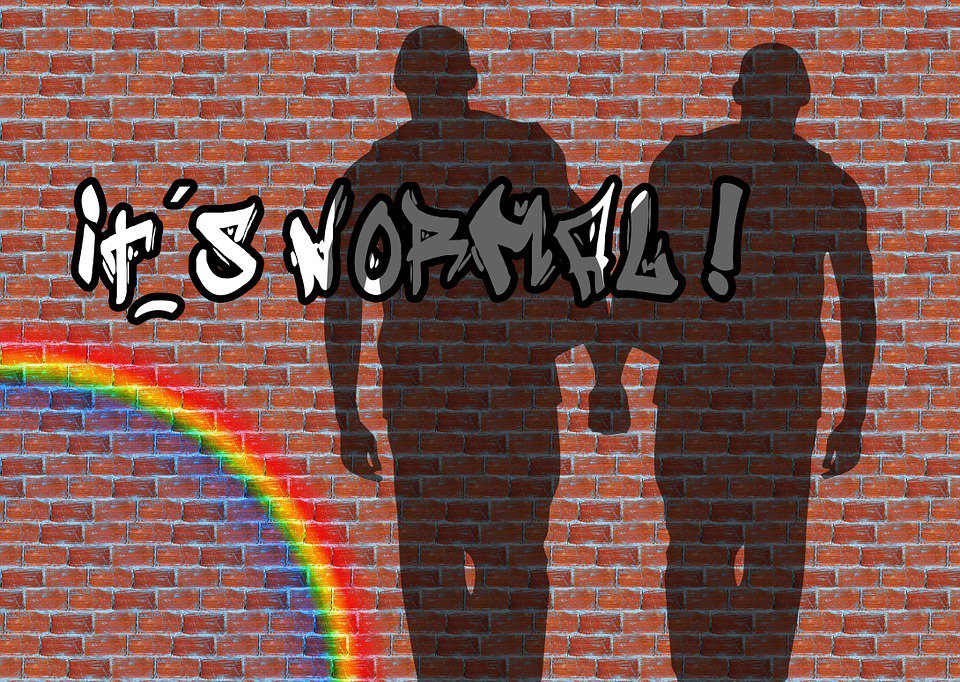 wikisesso's tweet photo. Orientamento sessuale: 10 "scoperte" contro gli stereotipi - #omosessualità #omofobia #sesso https://t.co/MVnnXi83Vg https://t.co/PYDenM79k6