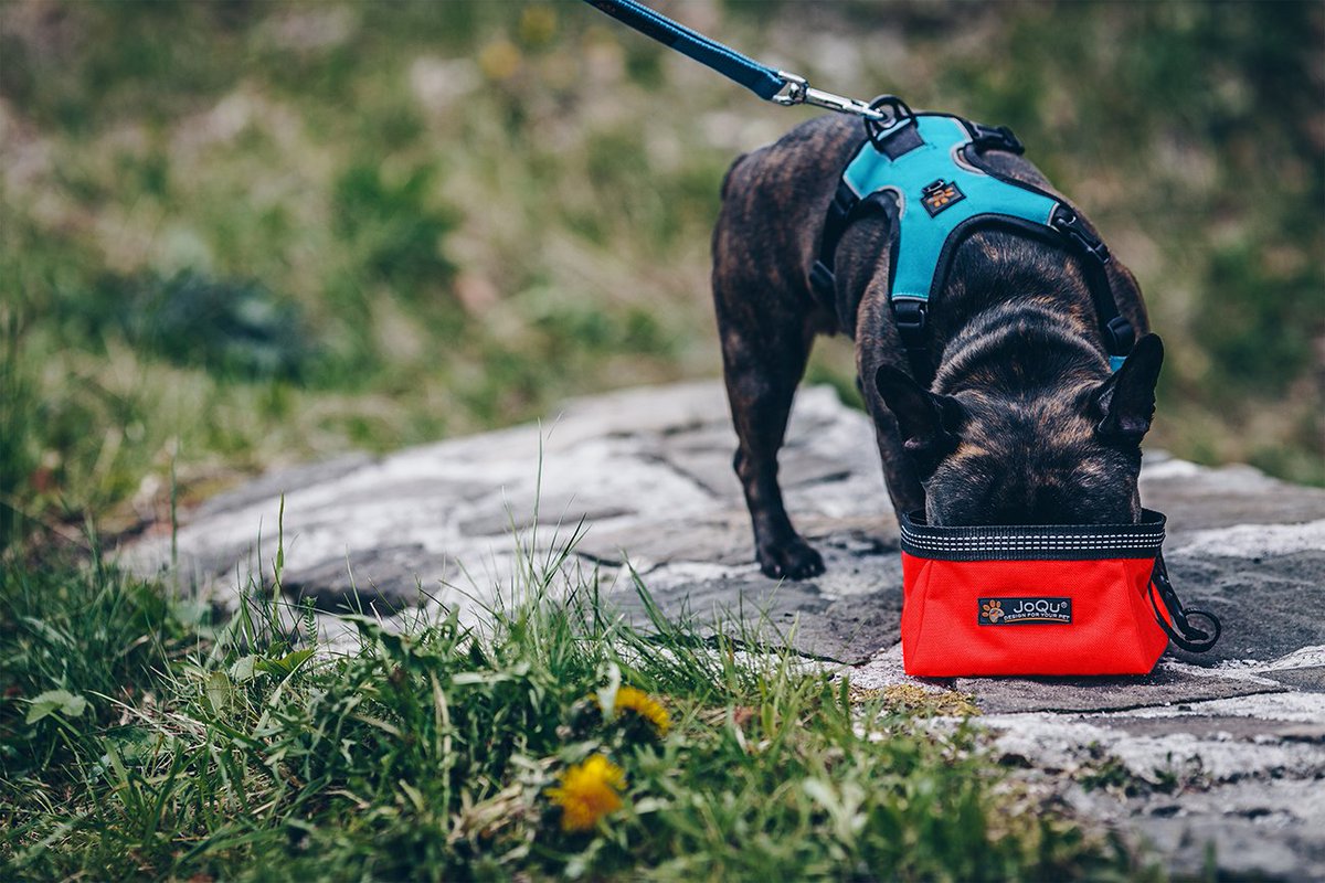 JoQu_PETs's tweet photo. Miska Turystyczn dla psa JoQu® Walk Bowl - SKŁADANA, NIEPRZEMAKALNA !
BESTSELLER
HIGH QUALITY-MADE IN POLAND #joqu

https://t.co/qFtVS1hIip https://t.co/tzH7Oijbhl