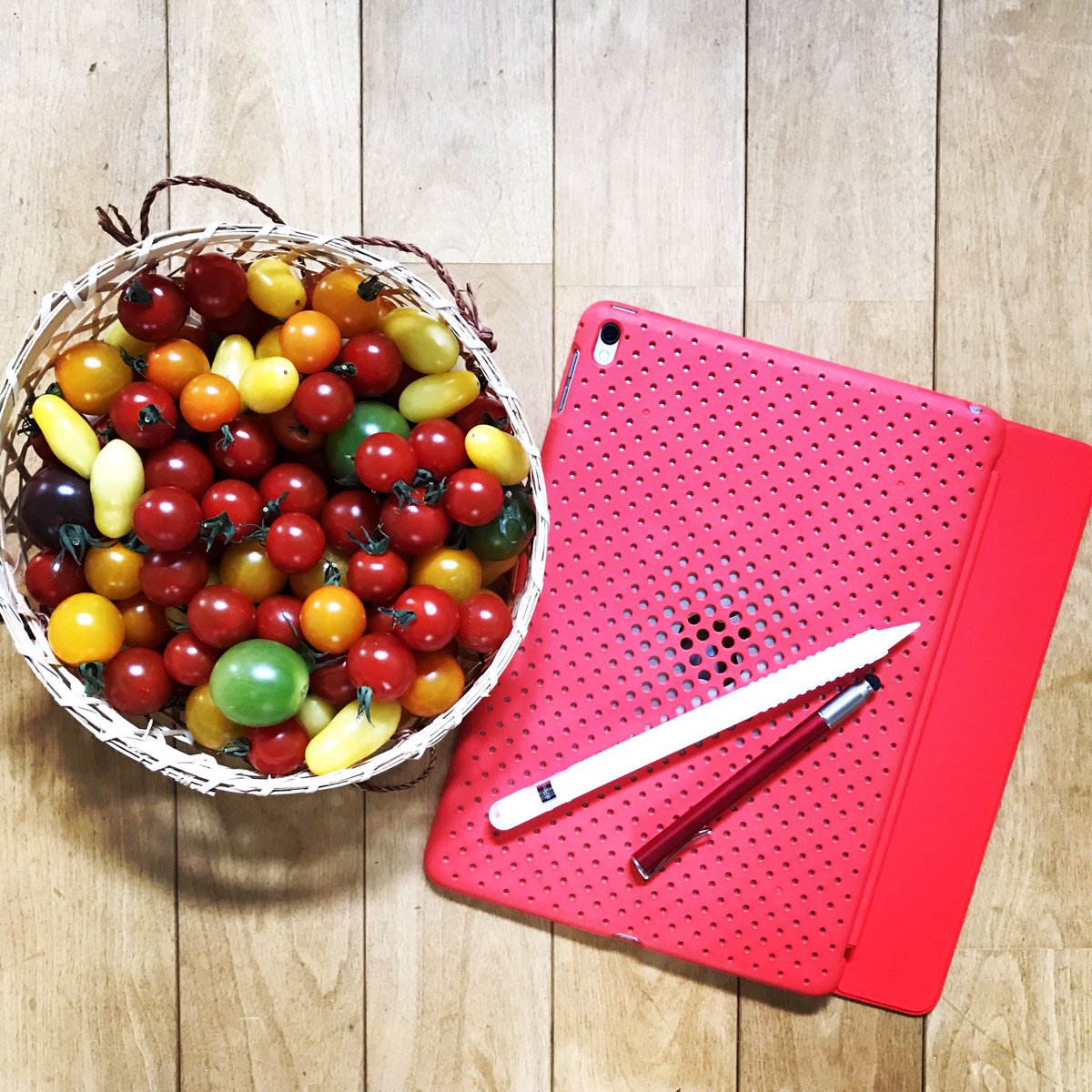 GrukHimmelreich's tweet photo. カラフルなトマト
あ、
右のは蘋果です
#applepencil #ipadpro97 #supen
#tomato #tomates https://t.co/rI9jrxVpAE