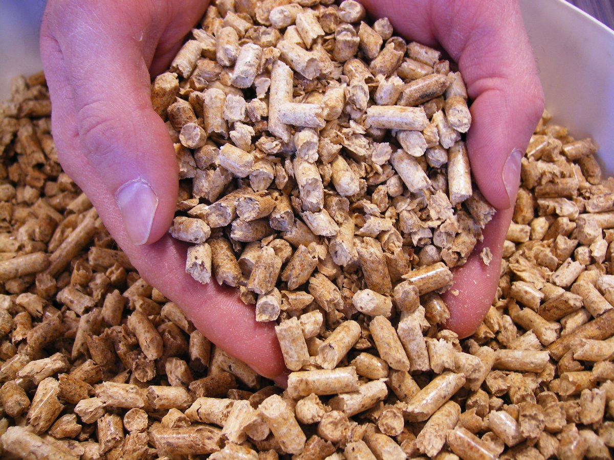 RWE feliciteert Sustainable Biomass Partnership <a href="/susbio/">SBP</a> met 100e certificering. #duurzaamheid #biomassa aantoonbaar. sbp-cert.org/news/sbp-celeb…