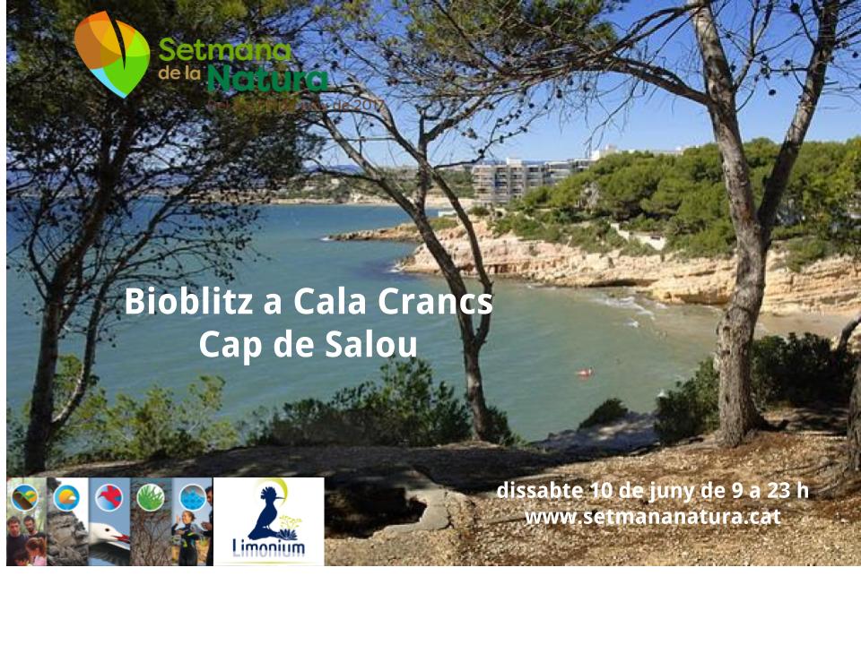 SetmanaNatura's tweet photo. Fins avui a les 12 inscriu-te x descobrir la #biodiversitat amb #bioblitz a #CalaCrancs #SetmanaNatura  @LIMONIUMSL https://t.co/F2Xug0ZP1U https://t.co/FZDSTSP3Eg