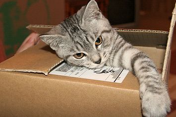 WPRGodalming's tweet photo. As it's Friday AKA #Movingday here's some tips to consider when you finally get your keys! https://t.co/xPReLwmoi4 #Movinghouse #Movingtips https://t.co/hGt2TpBU9w