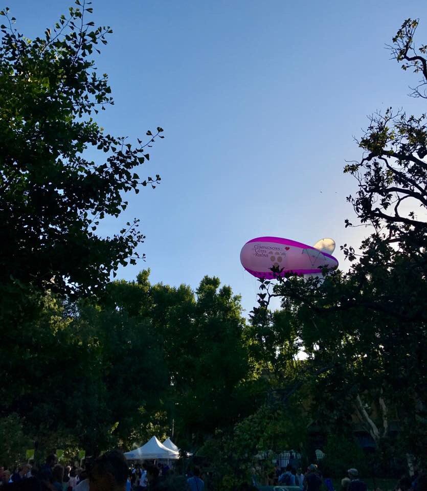 SParry2017's tweet photo. J'étais hier soir aux estivales des Compagnons des Côtes du Rhône #vignoble #convivialité #avignon 
#MajoritépourlaFrrance https://t.co/hQLYbVOVUO