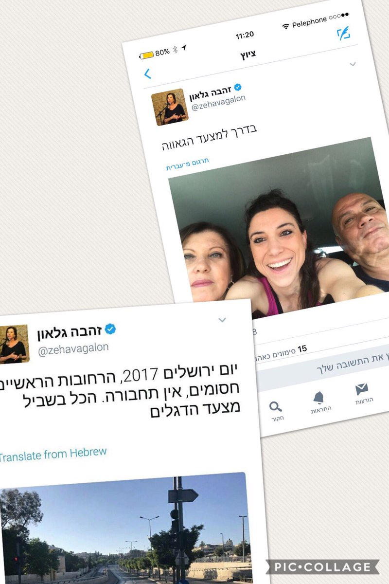 ״צביעות- קווים לדמותה״