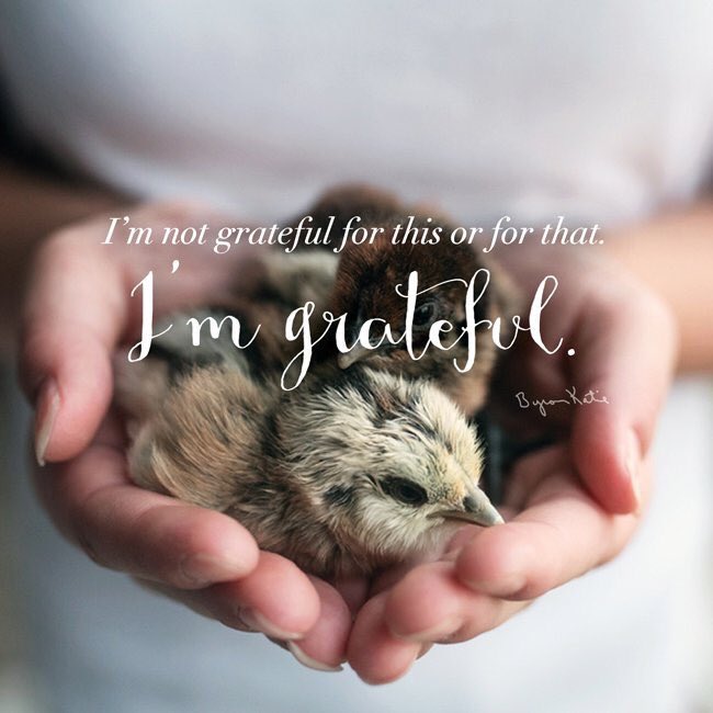 _PuzzlePeace's tweet image. Happy Friday! #practisegratitude #feedallfour