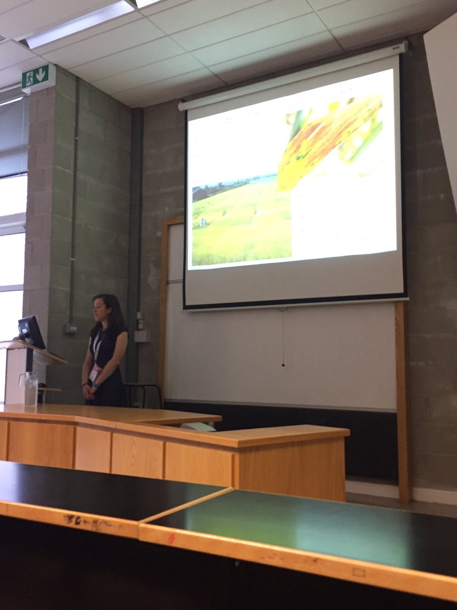HarriRB's tweet photo. Dr Tiley from @ucdagfood on the role of nitric oxide in plant pathogen response @tileyanna #IPSAM2017 #septoria #wheat #WomenInSTEM https://t.co/9AgY53jQBf
