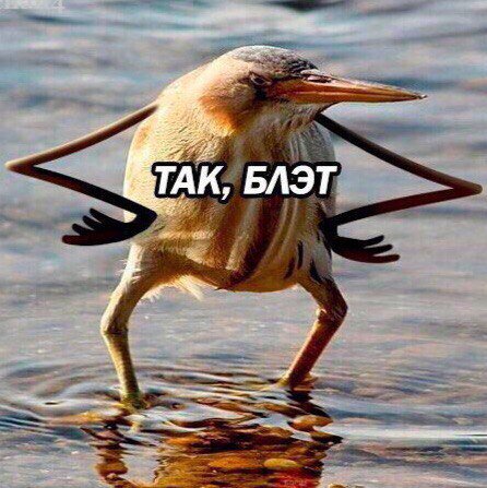 Я: я доживу до старости

Давление: