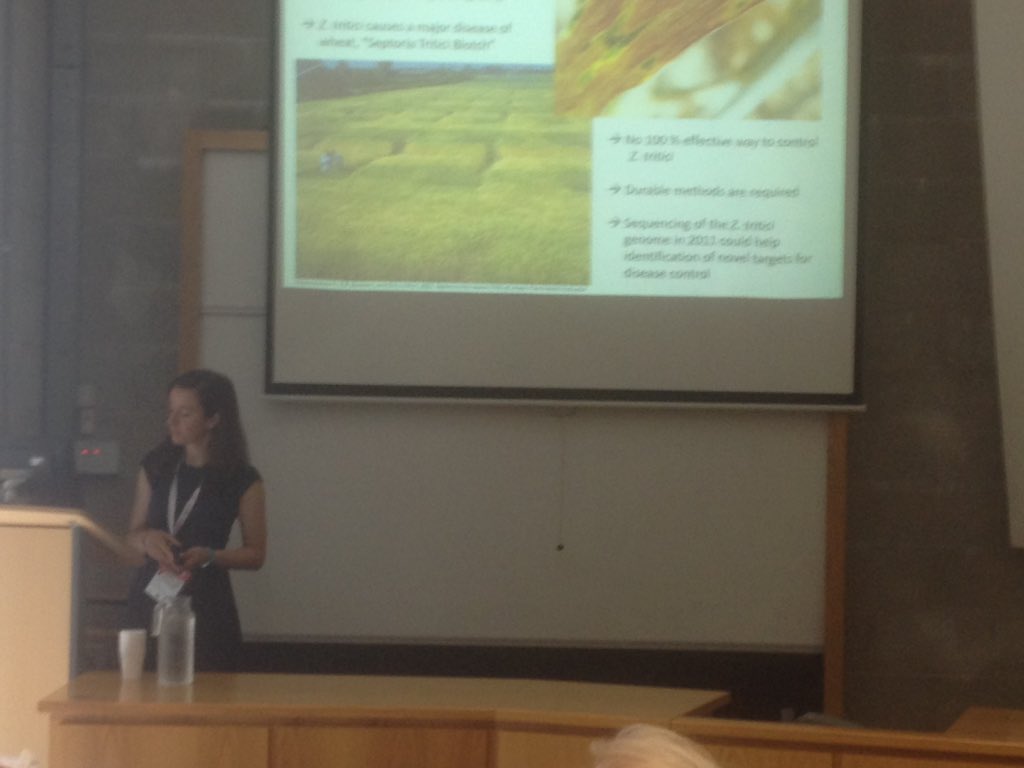 AislingBReilly1's tweet photo. @tileyanna talking about her work on nitric oxide and Zymoseptoria infection #IPSAM17 https://t.co/30ejFBBVGu
