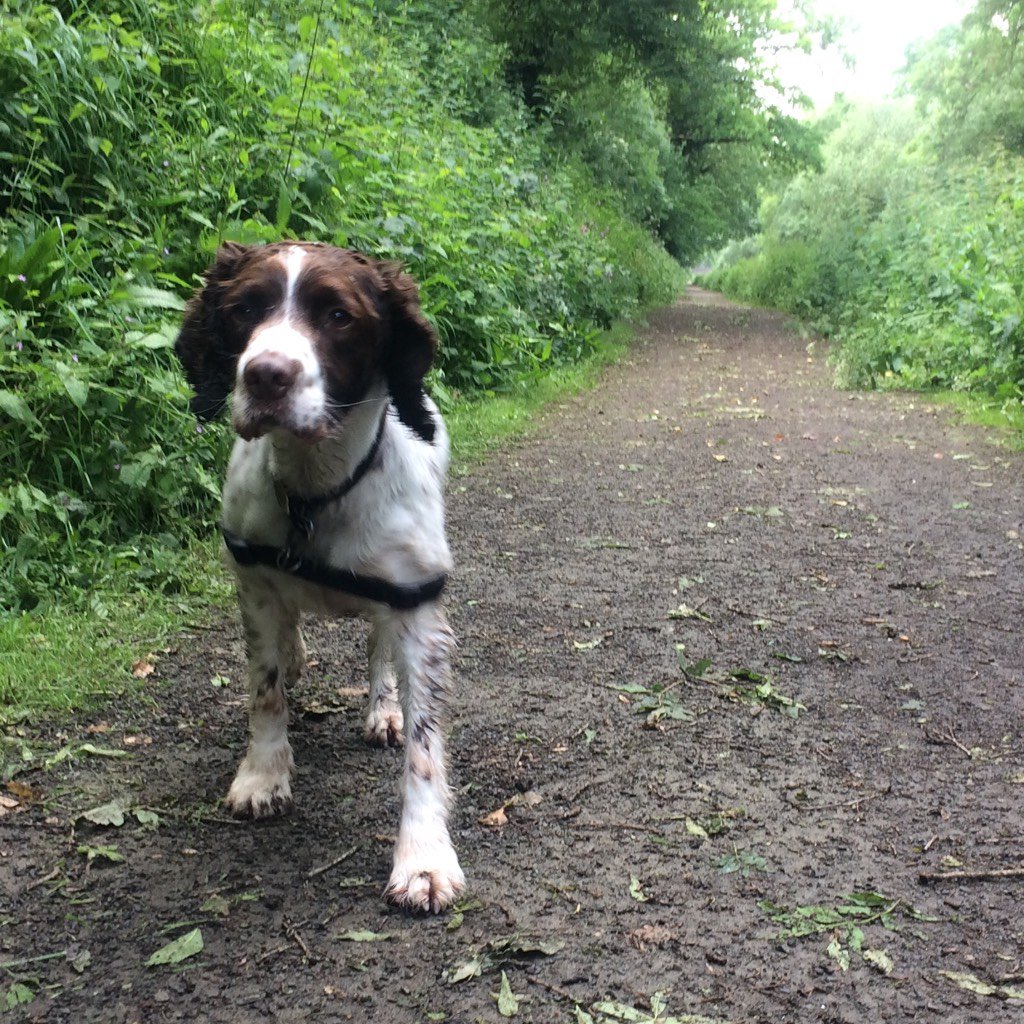 ollie_springer's tweet photo. "Oh, you saucy old thing you!" #thingsstrangerssaytome https://t.co/JHtMUbBuBE