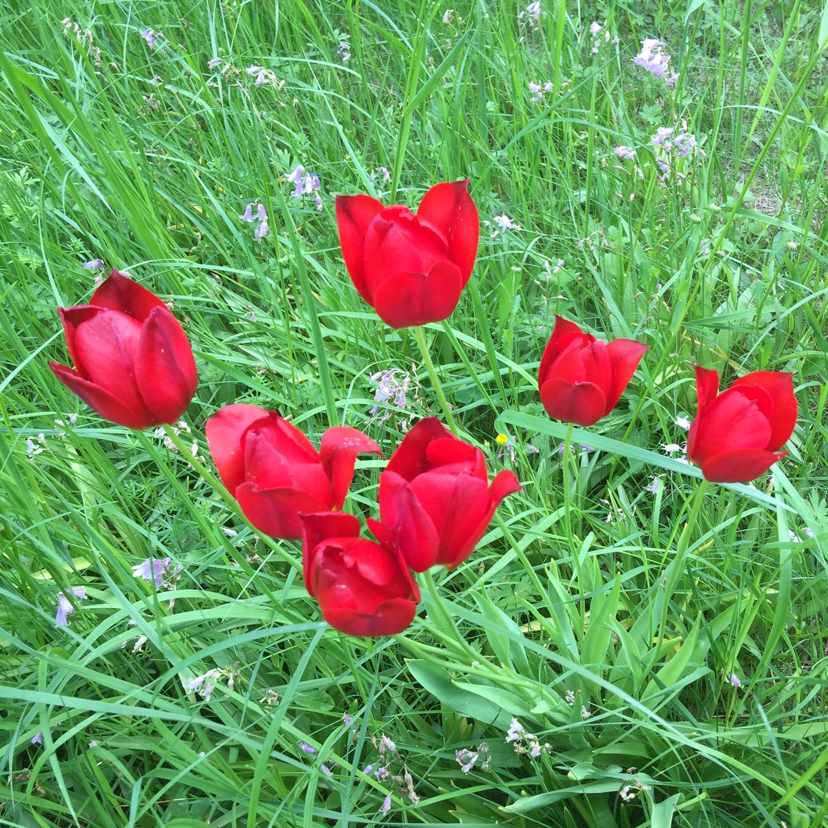 BergneJessica's tweet photo. Dela med dig medan du finns, och minns ❤️ #yolo #loveskara #CarpeDiem https://t.co/AgiQEZOQZT https://t.co/lfFWZLfpzZ