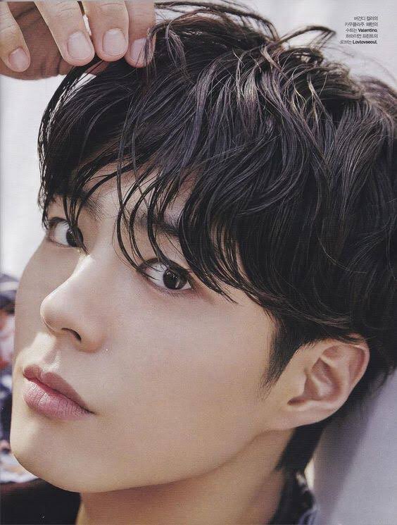 irina16181's tweet photo. @tccandler #tccandler i nominate #gorgeous #ParkBoGum #SouthKorea for #100MostHandsomeFaces2017 @BOGUMMY #박보검 #bogumagic #bogumeffect #❤❤❤ https://t.co/BjOWCf7QWR