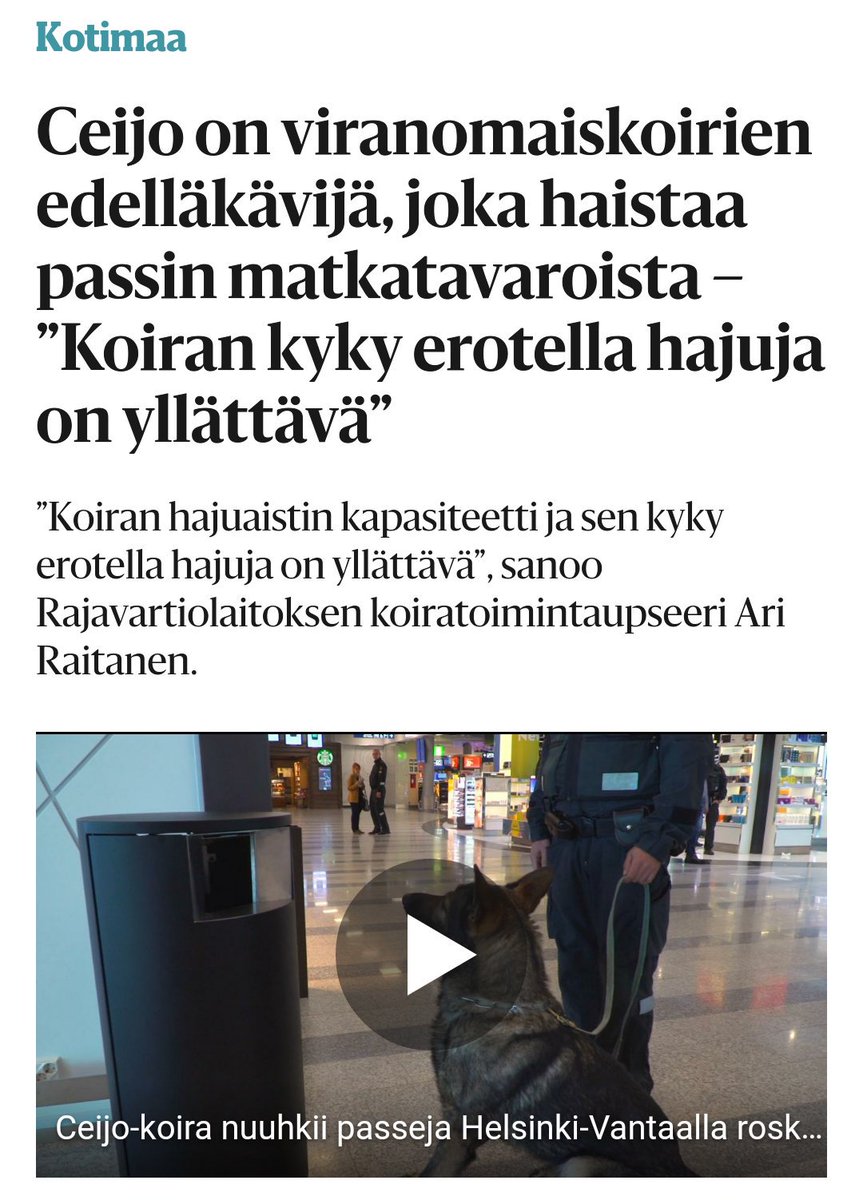 akseli_huhtanen's tweet photo. Asiakirjakoira hoitaa pian paperityösi! Miltä näyttää tulevaisuuden työ kun #doggotisaatio valtaa alaa? Kuka maksaa verot? #rewow #uusityö https://t.co/blpZ0m9RvR