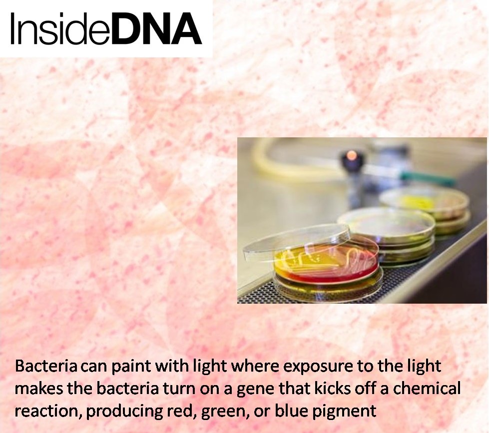 inside_dna's tweet photo. https://t.co/UTGcntVdti #bioinformatics #Genomics https://t.co/XL4pHcZPPj