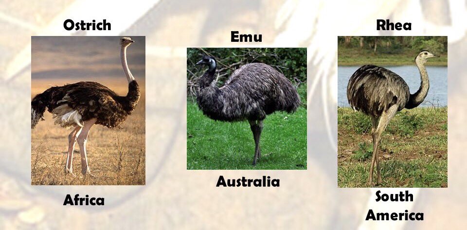 harry_winks's tweet photo. Name a more icon trio... #aqabiology https://t.co/ezpUAYiir3