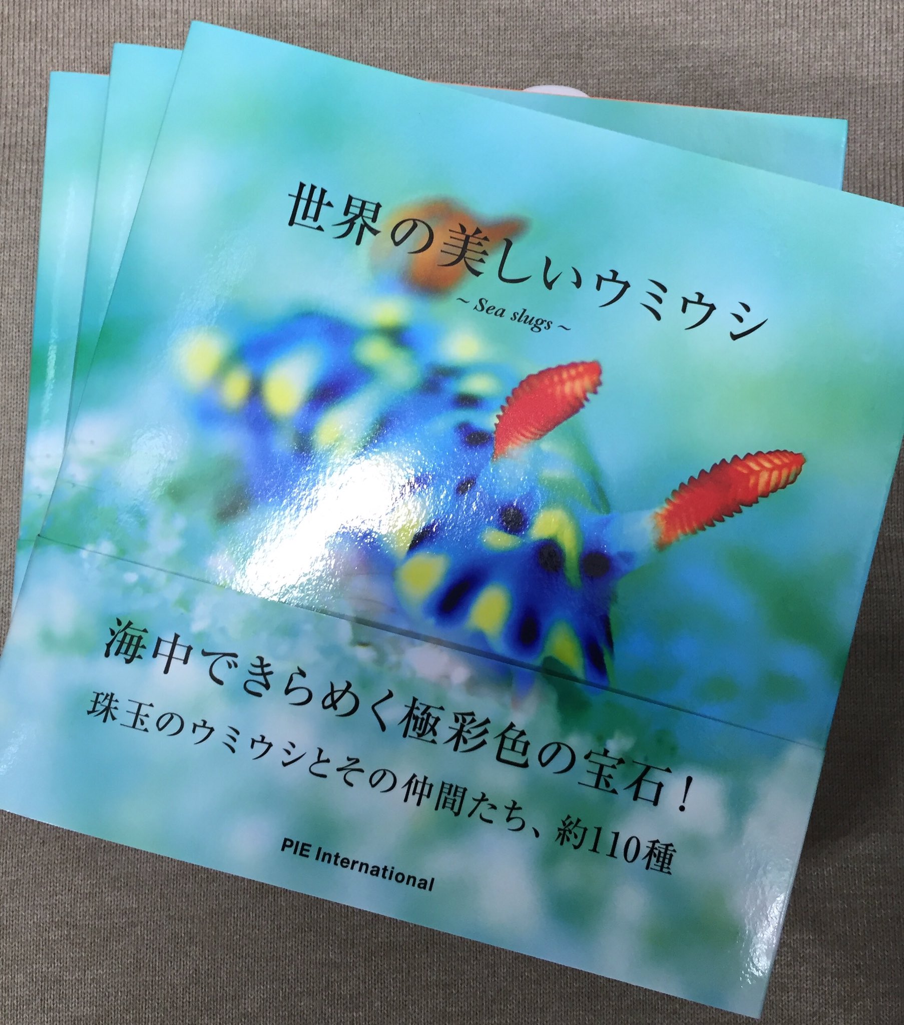 鬼瓦レッド Bookstore Clerk 本日入荷 世界の美しいウミウシ パイ インターナショナル まだウミウシ写真 集持っていない方はいいかもしれません 美しいです 実は小さいんですよね 明正堂アトレ上野店 T Co B1pwqhwpji Twitter