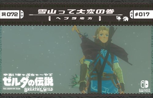 ゼルダの伝説 ブレス オブ ザ ワイルド