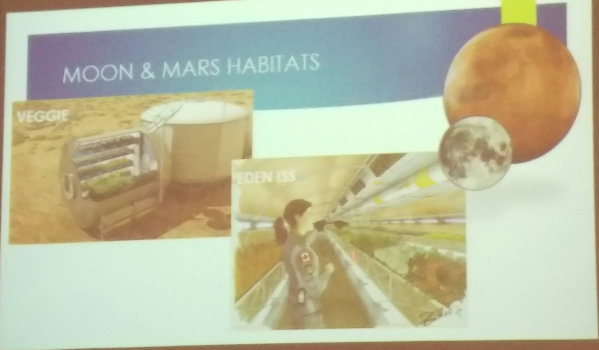 Colin_Kelleher's tweet image. Michelle Mckeon-Bennett showing how Sphagnum can be used to grow lettuce during space exploration #IPSAM17  #IPSAM2017 @LimerickIT