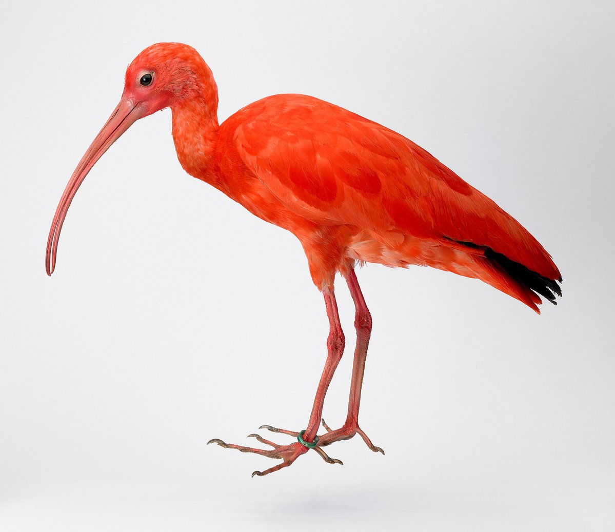 AlambretCom's tweet photo. Et si vous profitiez de l'ouverture du nouveau #Naturalium pour redécouvrir la @CitadelBesancon, Patrimoine mondial de l'@UNESCO_fr ? https://t.co/HRWjyg67kQ