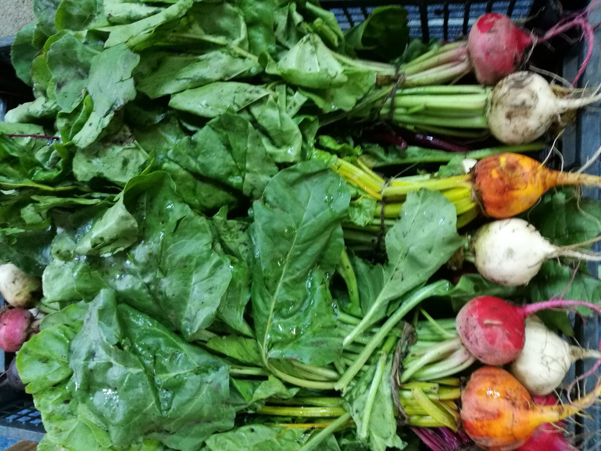 5adayFresh's tweet photo. #rainbowbeetroot #savoycabbage #cauliflower #freshveg #cookfresh #eathealthy #greengrocer #Stalybridge #Cheshire #smallbusiness https://t.co/47FqUH2GxN
