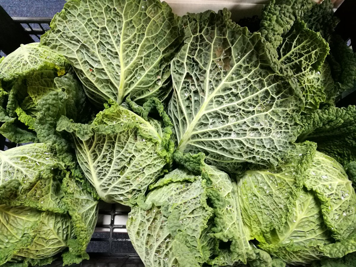 5adayFresh's tweet photo. #rainbowbeetroot #savoycabbage #cauliflower #freshveg #cookfresh #eathealthy #greengrocer #Stalybridge #Cheshire #smallbusiness https://t.co/47FqUH2GxN