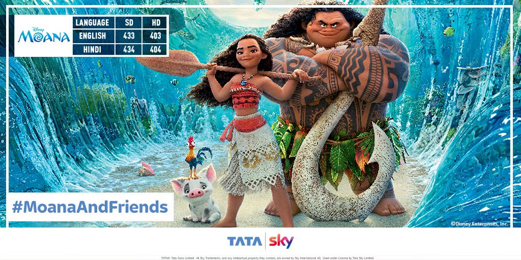 TataPlayin's tweet photo. We hoped you enjoyed that #contest, thank you for participating. #MoanaAndFriends https://t.co/v7ZbunjPfI