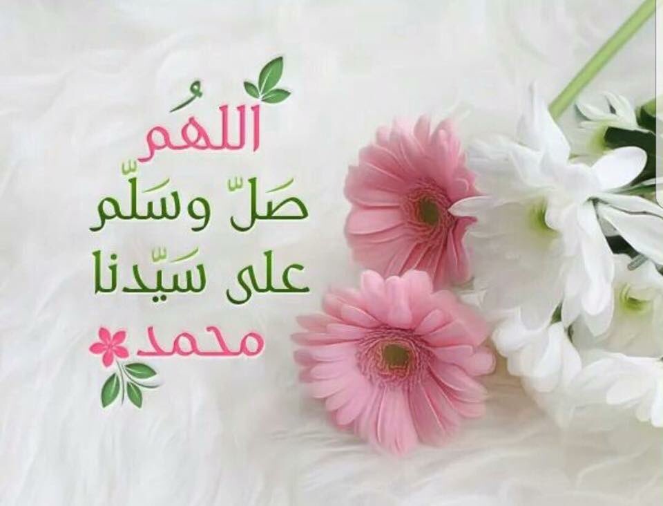 gno2017on's tweet photo. الجمعه 14 | رمضان 🌙
اللهم نسالك في يوم الجمعه ادعية مستجابة ، 
وذنوب تغفر ، و حاجات تقضى ، اللهم إغفرلنا وارحمنا ..

 #جنون_العشق_للدعم https://t.co/EBETGyaZC8