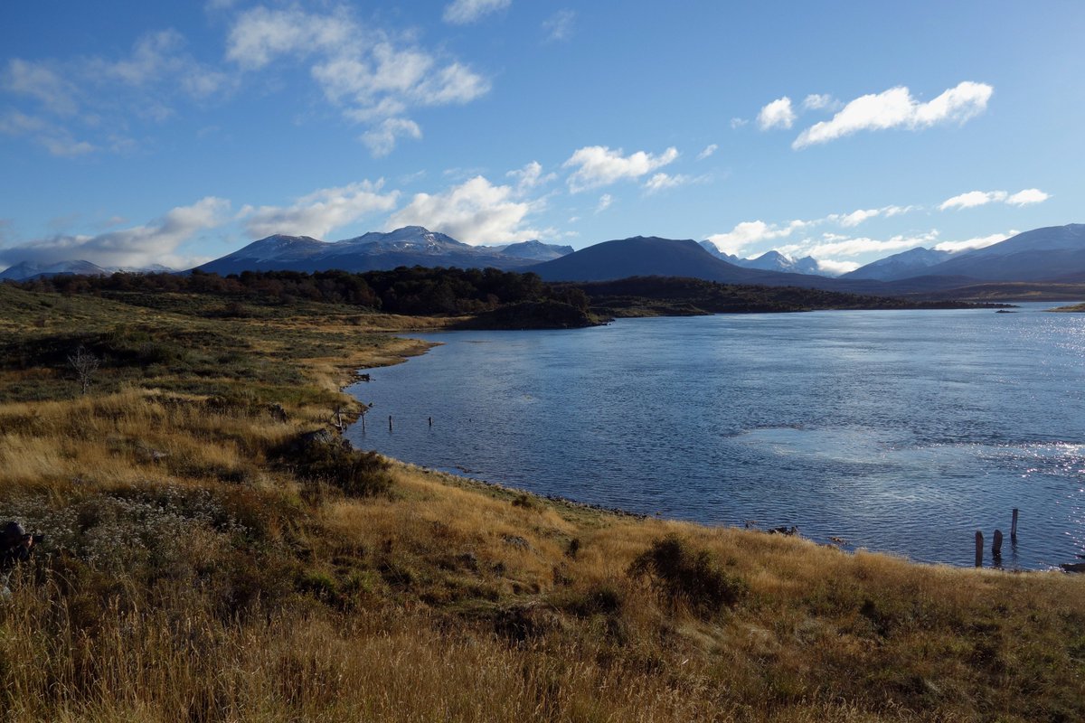 KEAdventure's tweet photo. KE Product Manager Lisa is back from Patagonia - https://t.co/5IQwFHvBQX  #TierradelFuego #Andes  #seabirds #baskingseals #penguins https://t.co/0eSDZFR4b9