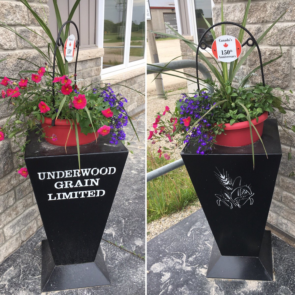 <a href="/UnderwoodGrain/">Underwood Grain Limited</a> new planters looking very fancy &amp; festive for #Canada150 ! Looking sharp 👌🌸🌾🇨🇦