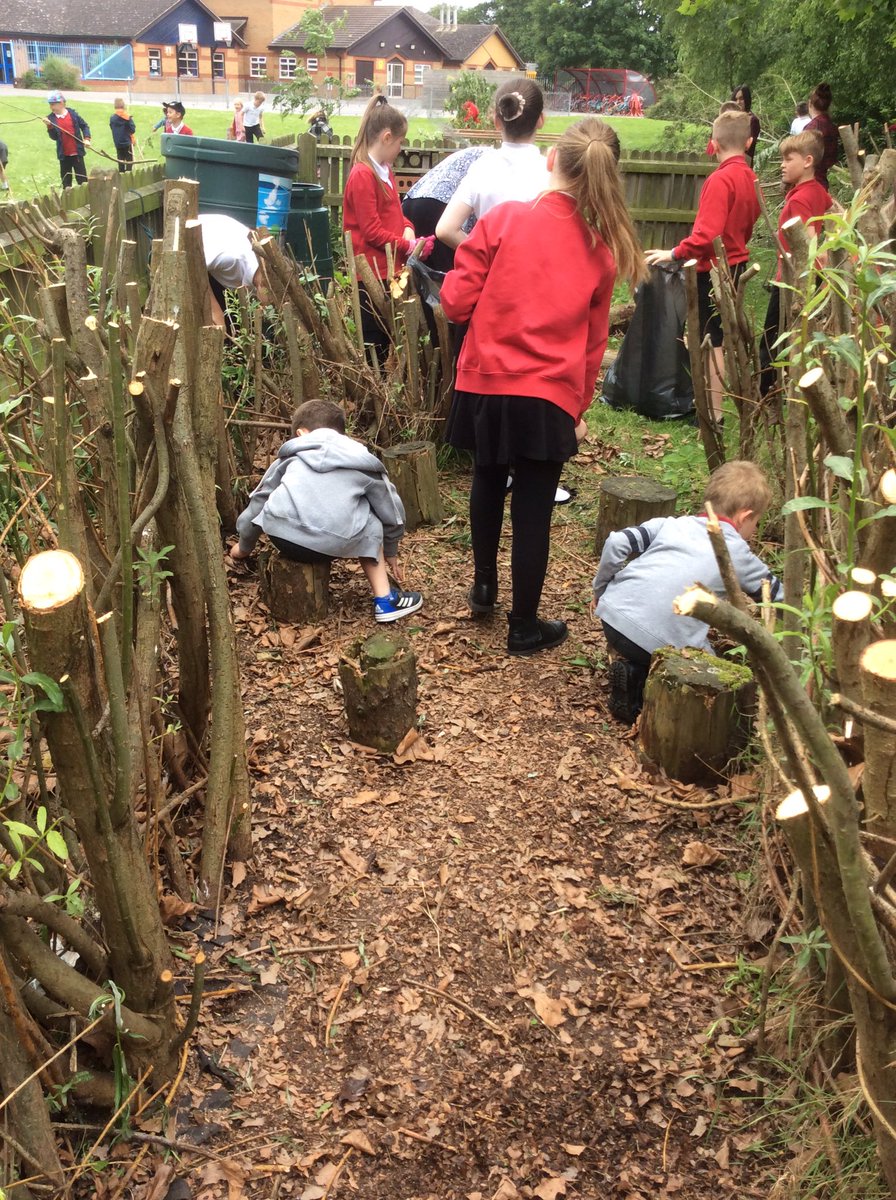 MissPulleyn's tweet photo. 1P loved going outside this afternoon with @missrefoster to help with the wildlife area! @BPSinBloom @BoothferryPS https://t.co/yRyy46mvDn