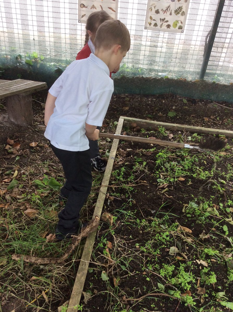 MissPulleyn's tweet photo. 1P loved going outside this afternoon with @missrefoster to help with the wildlife area! @BPSinBloom @BoothferryPS https://t.co/yRyy46mvDn