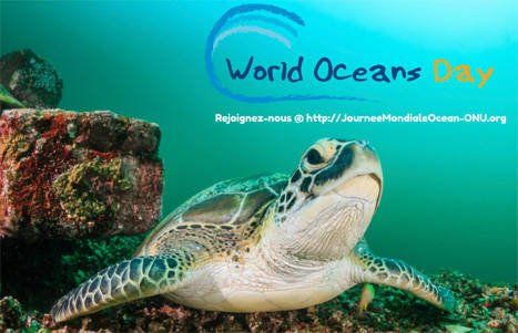 France_UNESCO's tweet photo. #SavingOurOcean is not a choice but a necessity. Today is the last day of the first ever @UN Ocean Conference https://t.co/iCufv15TRn