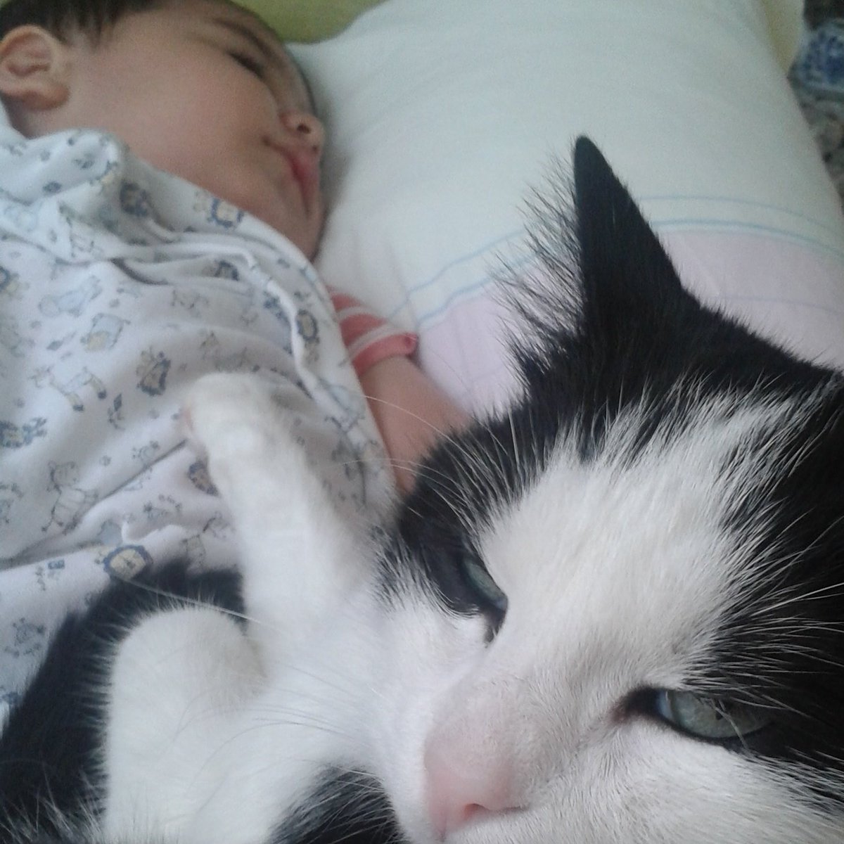 OĞLUM MARCII VE M.YAMAN