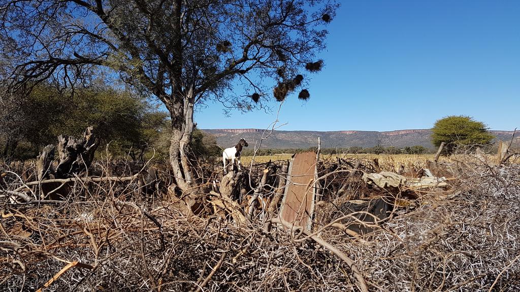 kalchalmtb's tweet photo. The unique charm of the Southern Botswana Bushveld. #KalChal2017 https://t.co/IMEMU7mJoJ