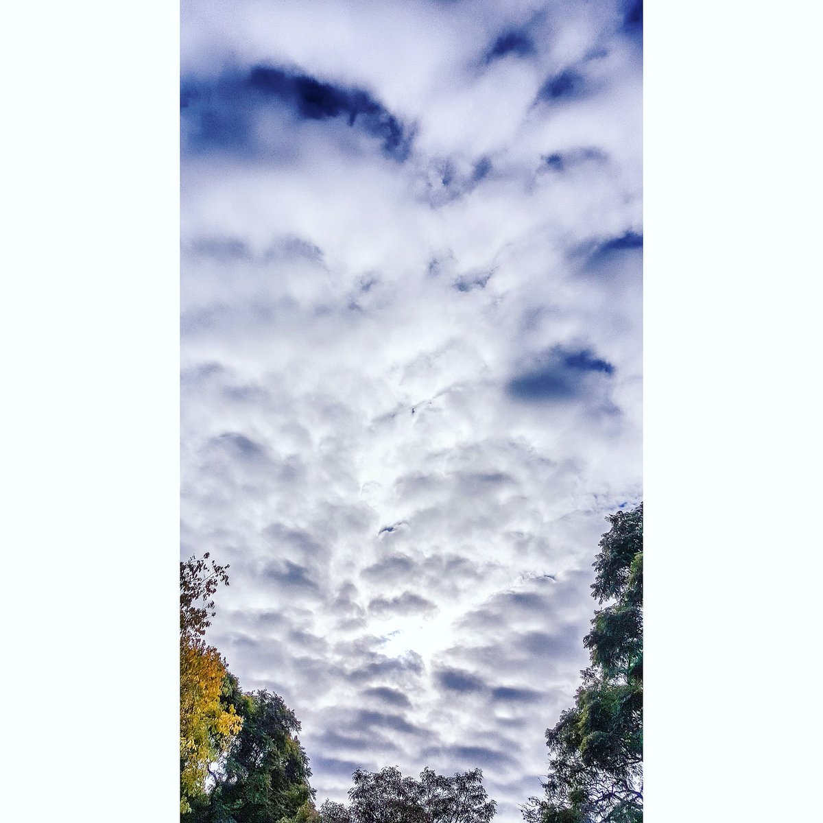 damianbenetucci's tweet image. Hay algo oculto en cada sensación

#elonganding #postrunning #stretching #park #sky #capture #clouds #buenosaires #city #draw #mothernature