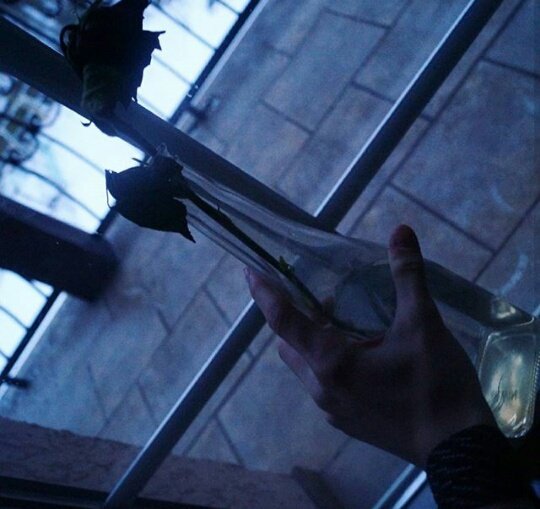 092SNOW_'s tweet photo. Eu esqueci de cuidar dela... sorry~~ https://t.co/kbwsynBcfn