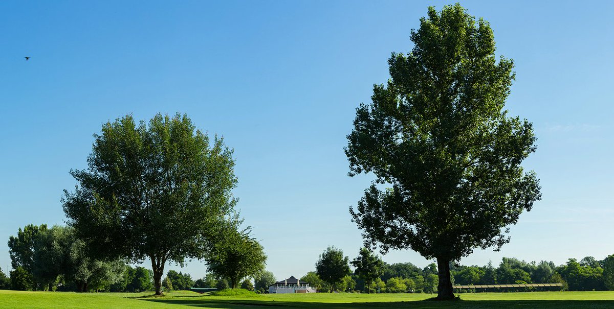 GolfduFort's tweet photo. Le soleil revient pour notre after work de ce soir ! #Golf #Strasbourg https://t.co/nXAOgEd2Kw