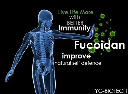 Fucoidan_Powder tweet picture