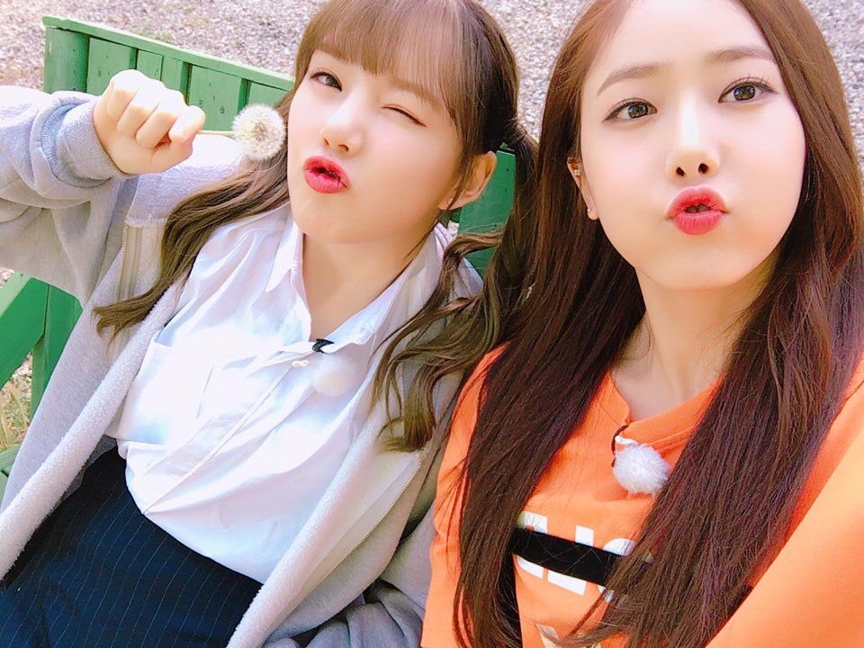 GFRDofficial's tweet photo. #여자친구 #GFRIEND 잠시 후 8시 55분 MBC #발칙한동거 여친이들이 나온다구욧😘 📺앞으로 얼른얼른 모여요🎵 https://t.co/FgstKGCtDX