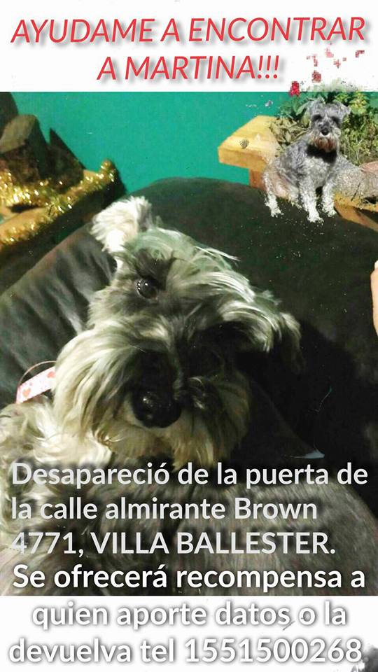 MVEROREYNOSO's tweet photo. #VamosArgentina #buscamosamartina ayúdame a que regrese a casa, si sabes quien la tiene o donde esta, llámanos por favor gracias.1551500268 https://t.co/NwpmK4PQyW