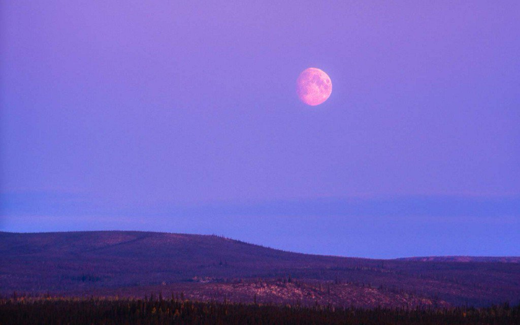 When to see the Strawberry Moon — and where it got its name tandl.me/2slCjZk
